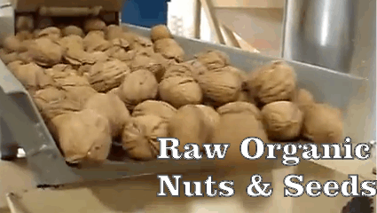 eshop at Raw Organic Nuts and Seeds's web store for Made in America products